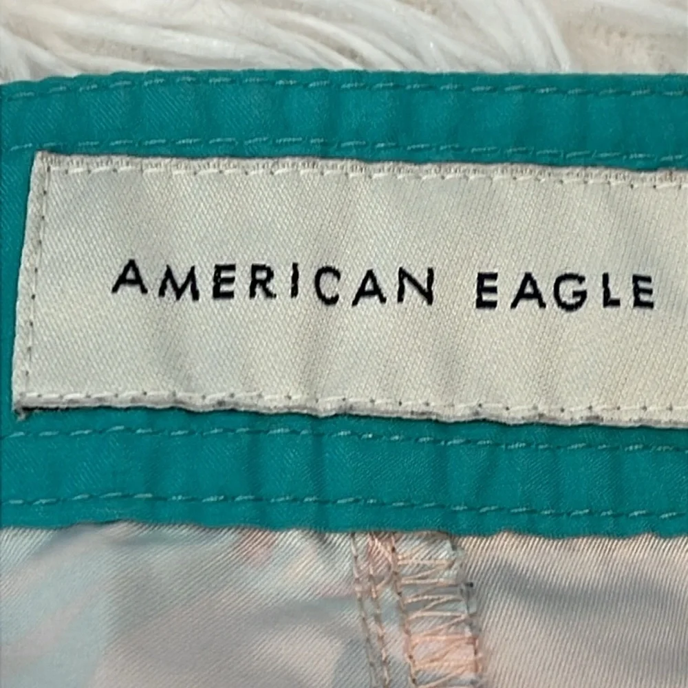 American Eagle Outfitters Blue and Pink Board Shorts Vibrant Swimwear MENS M